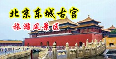 美国大黑吊日休女中国北京-东城古宫旅游风景区